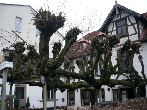 Vor einem Weinlokal in Bad Doberan