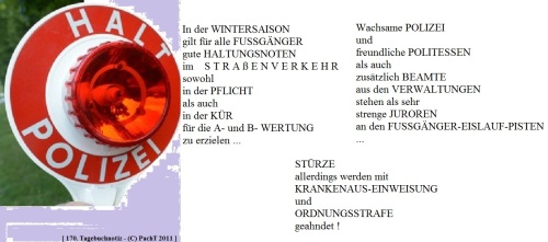 SSW170.Gedanke_Rat im Winter