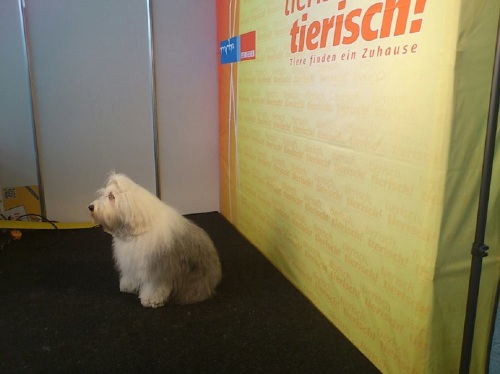 Tierisch - ARIANE vom MDR