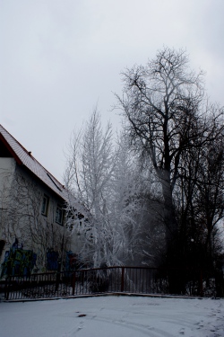 Schwarz - Weiß - Motiv 