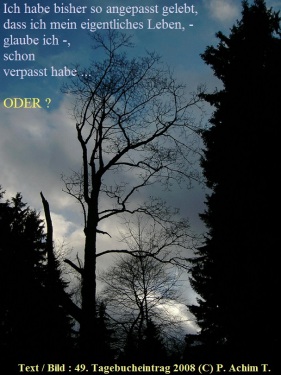 SSW49.Gedanke_Lebensstil