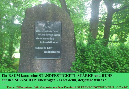 SSW348.Gedanke_Baum u. Mensch