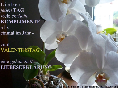 SSW257.Gedanke_Valentinstag2