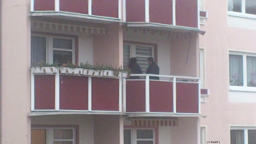 RAUCHER-Abteilung für ZWEI 