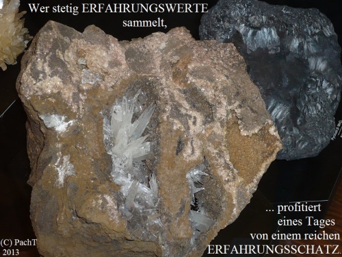 SSW335.Gedanke_WERTEsammlung