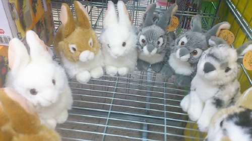 OSTERN schon zu ENDE ...  oder was