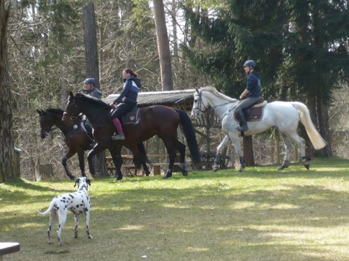 2015.04.09. Zum CarolinenTurm b. Blankenhain 08