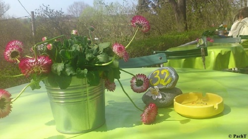 EF BachstelzenWeg a. d. Gera 06