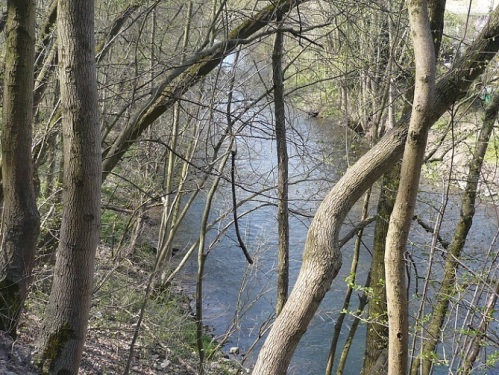 EF BachstelzenWeg a. d. Gera 03