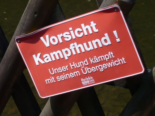 Schwarzburg 2013 - Impressionen 23