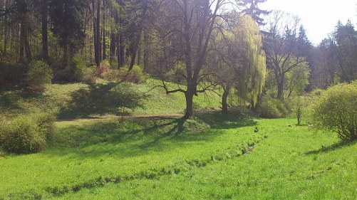 Weimar SchloßuPark Belvedere_20 Park