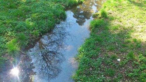 Weimar SchloßuPark Belvedere_19 Park