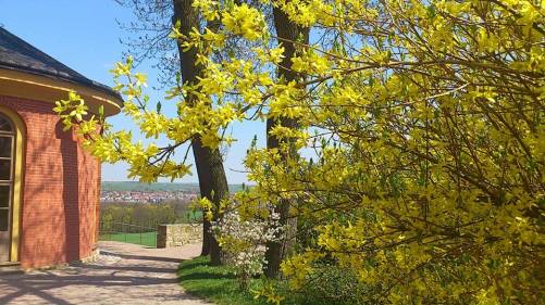 Weimar SchloßuPark Belvedere_18 Park