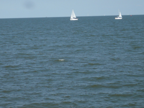 2015.04.30 - 05.03._128 Volendam Meerblick
