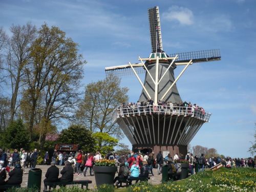 2015.04.30 - 05.03._54 KEUKENHOF