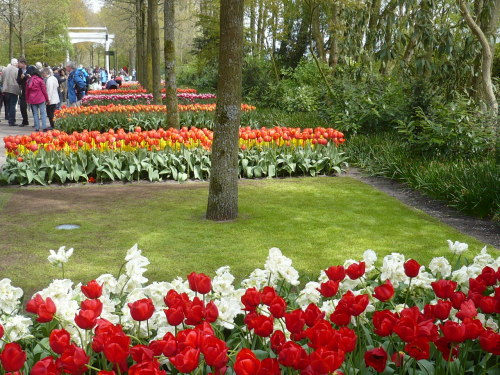 2015.04.30 - 05.03._48 KEUKENHOF