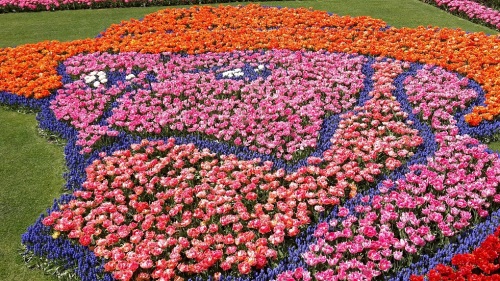 2015.04.30 - 05.03._45 KEUKENHOF