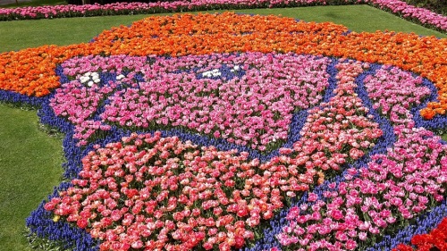 2015.04.30 - 05.03._43 KEUKENHOF