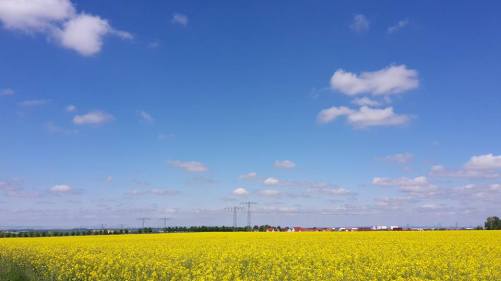 Himmelfahrt - Spaziergang 1