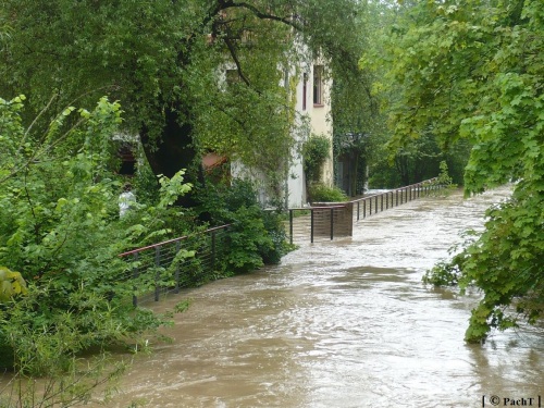 Weimar Ilmpark Hochwasser 01.06.13 1