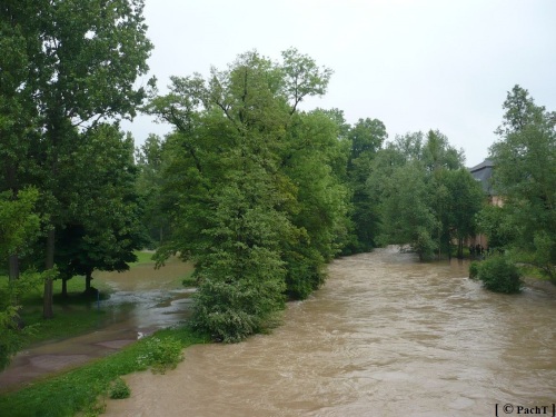Weimar Ilmpark Hochwasser 01.06.13 3