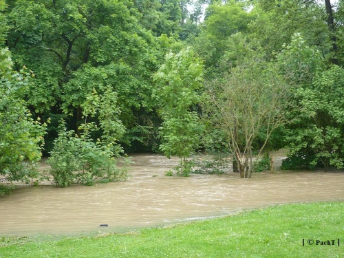 Weimar Ilmpark Hochwasser 01.06.13 4
