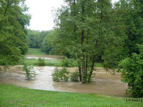Weimar Ilmpark Hochwasser 01.06.13 5