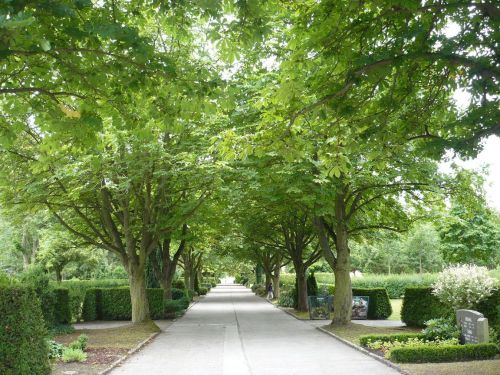 Stadt MÜHLHAUSEN 34 Friedhof