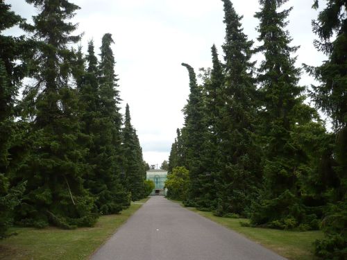 Stadt MÜHLHAUSEN 33 Friedhof
