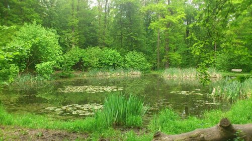 2015.06.03 Wandertag Alte Kameraden 6