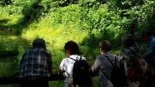 2015.06.03 Wandertag Alte Kameraden 1