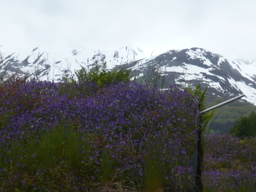 093_7.KreuzSchiffFahrt Spaziergang 9