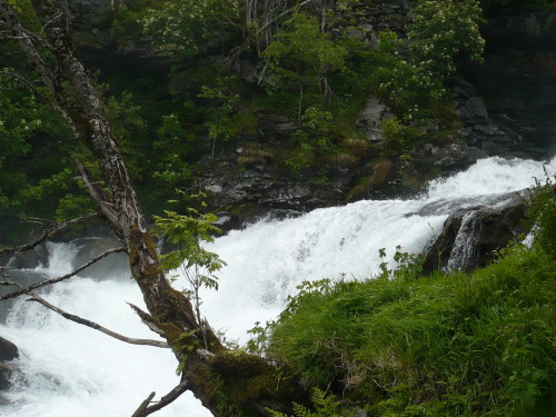 087_7.KreuzSchiffFahrt Spaziergang 3