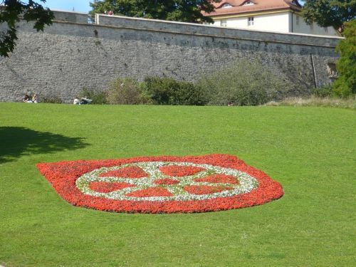 Petersberg vom Domwürfel gesehen