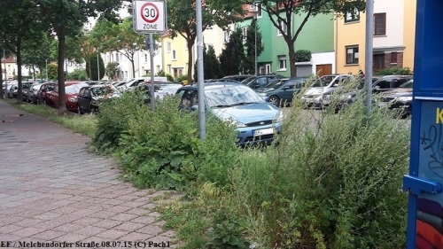 Erfurter Straßenbegleitgrün - Beispiel