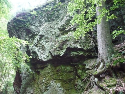 Tabarz Wanderung 3_29