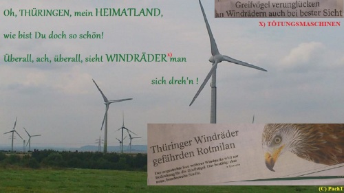 WINDradENSEMBLE 03