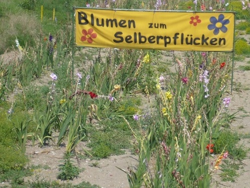 184 VILLACH Angebot am Stadteingang