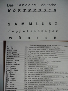 Das andere deutsche Wörterbuch