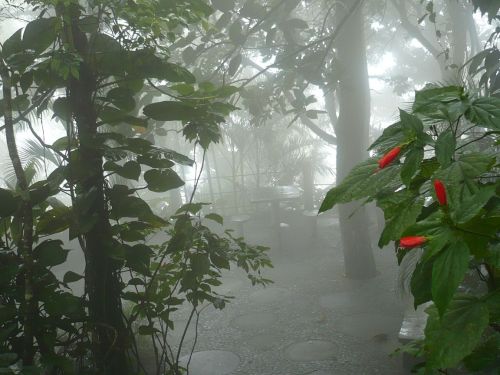 184 6.KSF RIO de JANEIRO _ Zuckerhut-Impressionen