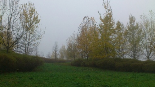 November am Buchenberg (EF)