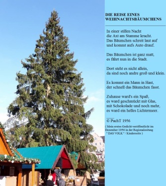 Reise eines Weihnachtsbaumes _ Gedicht