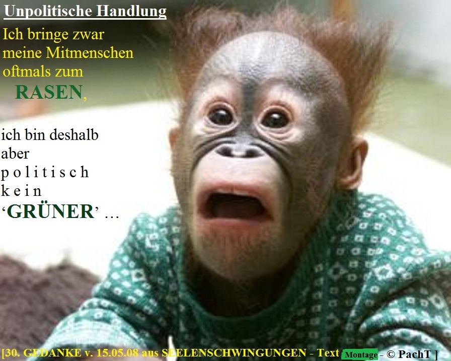 SSW30.Gedanke_Unpolitisch