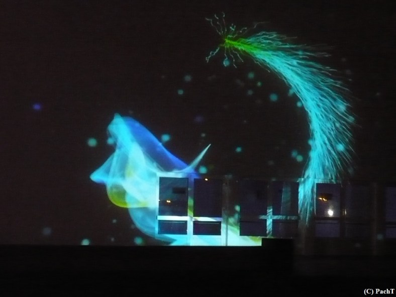 2016.01.01 WINTERLEUCHTEN 05 im egaPark EF