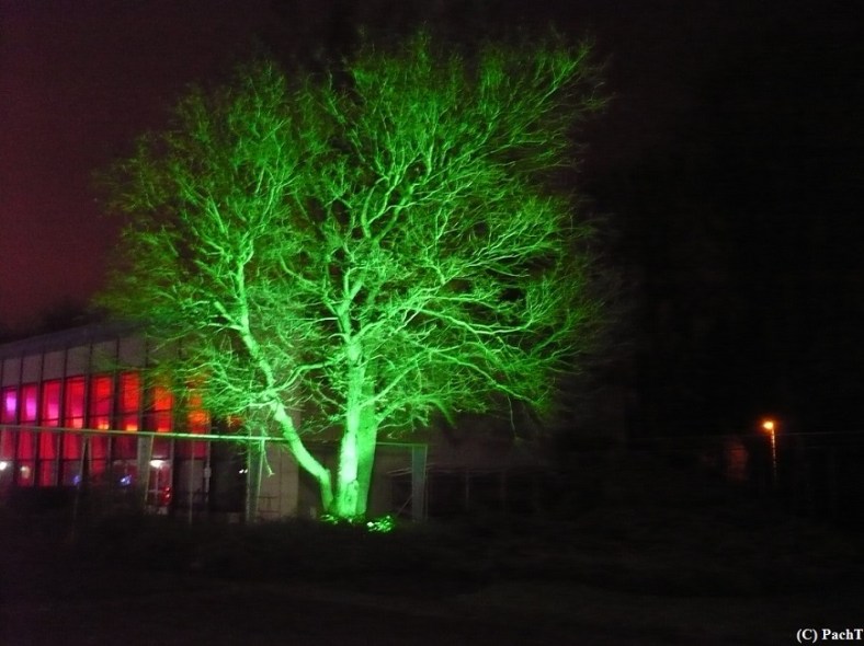 2016.01.01 WINTERLEUCHTEN 09 im egaPark EF