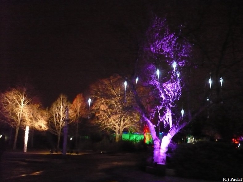 2016.01.01 WINTERLEUCHTEN 14 im egaPark EF