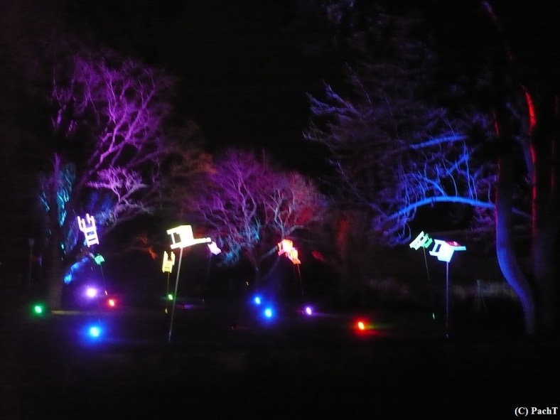 2016.01.01 WINTERLEUCHTEN 15 im egaPark EF