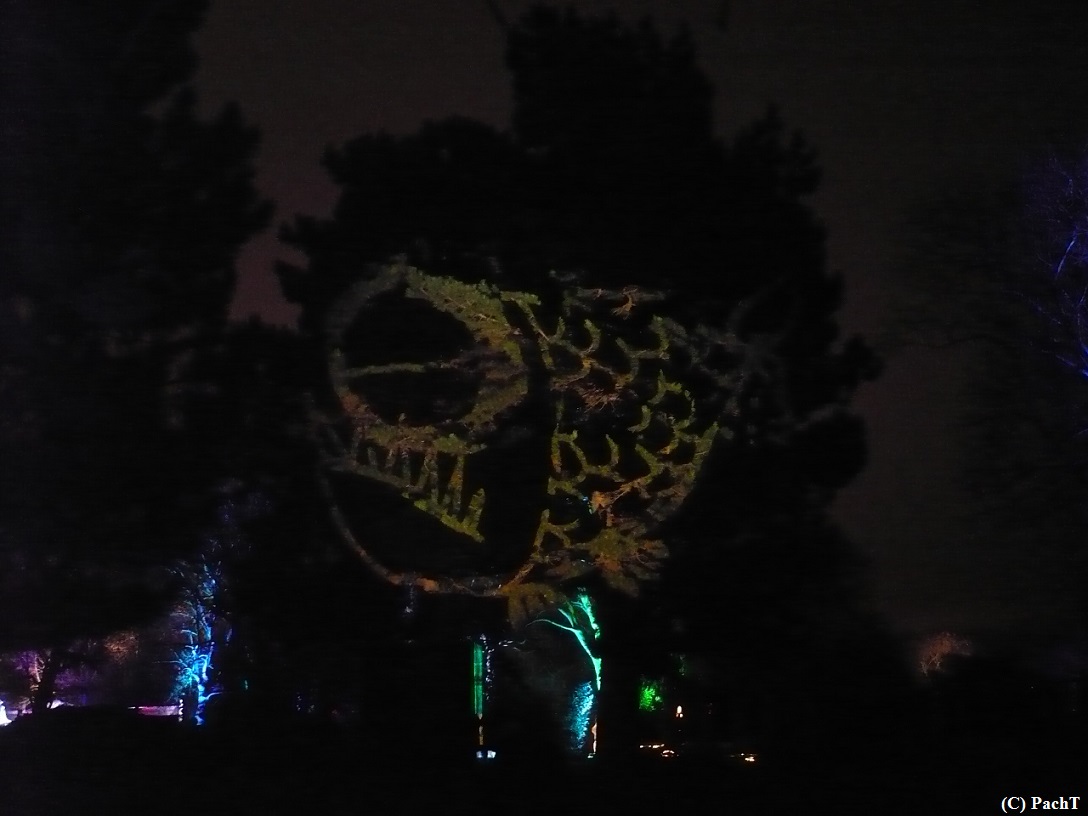 2016.01.01 WINTERLEUCHTEN 17 im egaPark EF