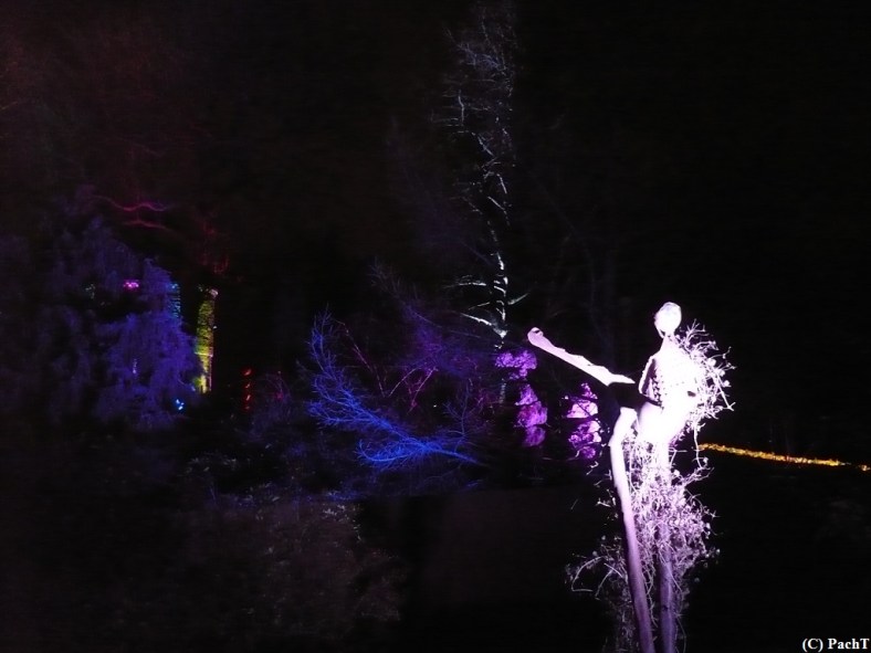 2016.01.01 WINTERLEUCHTEN 25 im egaPark EF