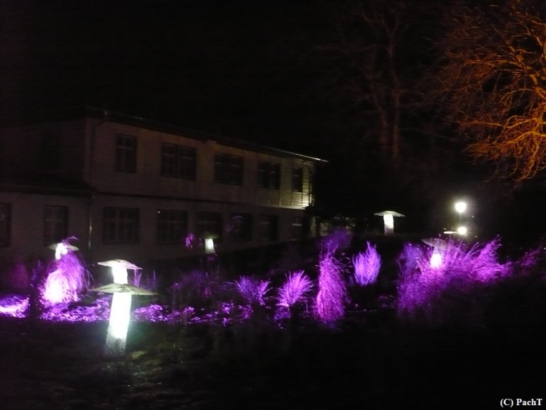 2016.01.01 WINTERLEUCHTEN 30 im egaPark EF